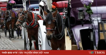 Thanh niên tử vong do tai nạn xe ngựa tại Công viên Trung tâm ở Mỹ