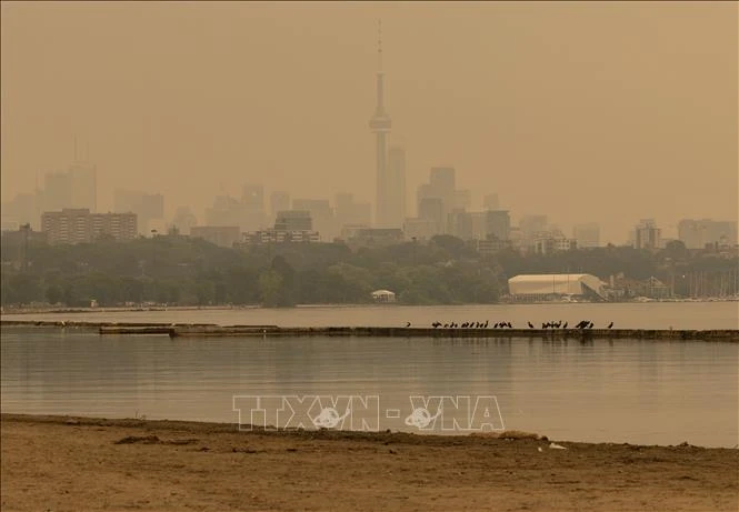 Thành phố Toronto (Canada) có chất lượng không khí kém nhất thế giới do cháy rừng Thành phố Toronto (Canada) có chất lượng không khí kém nhất thế giới do cháy rừng