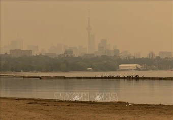 Thành phố Toronto (Canada) có chất lượng không khí kém nhất thế giới do cháy rừng