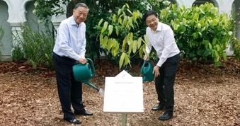 Thủ tướng Singapore đăng ảnh trồng cây cùng Tổng Bí thư, Chủ tịch nước