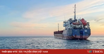 Thụy Điển tịch thu tàu nghi xuất khẩu trái phép ngũ cốc của Ukraine