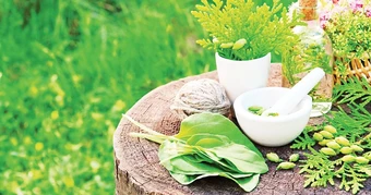 Tiêu điểm