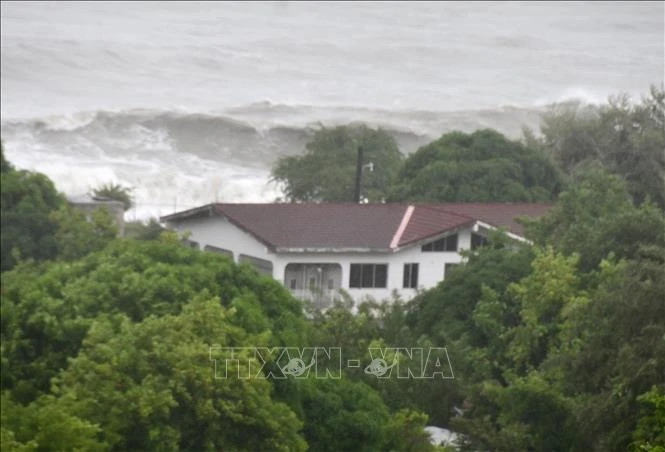 Tình hình bão Đại Tây Dương năm nay sẽ ra sao khi chịu tác động lớn từ El Nino? Tình hình bão Đại Tây Dương năm nay sẽ ra sao khi chịu tác động lớn từ El Nino?