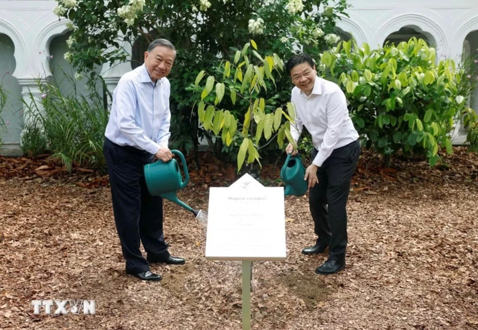 Tổng Bí thư, Chủ tịch nước Tô Lâm trồng cây trong khu vườn nổi tiếng của Singapore Tổng Bí thư, Chủ tịch nước Tô Lâm trồng cây trong khu vườn nổi tiếng của Singapore