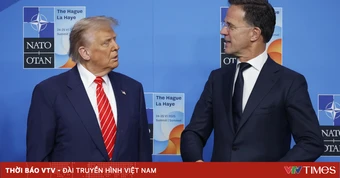 Tổng thống Trump gặp Tổng Thư ký NATO giữa lo ngại Mỹ rút khỏi liên minh