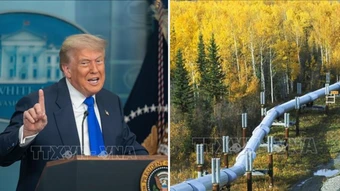 Tổng thống Trump muốn hồi sinh dự án đường ống dẫn dầu từng gây tranh cãi