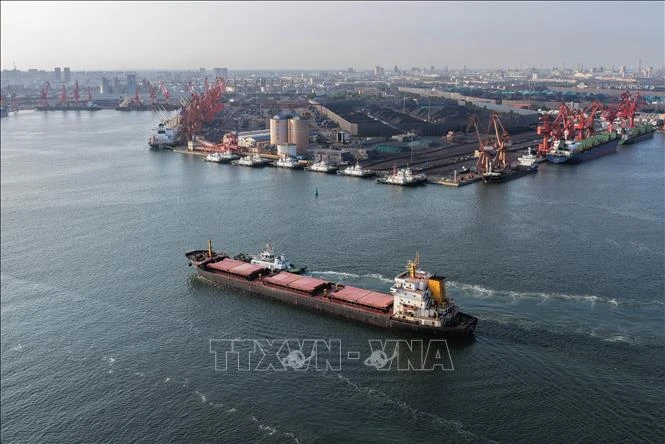 Trung Quốc áp thuế chống bán phá giá cao đối với hồ đào nhập khẩu từ Mỹ và Mexico Trung Quốc áp thuế chống bán phá giá cao đối với hồ đào nhập khẩu từ Mỹ và Mexico