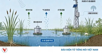 Trung Quốc cảnh báo phát thải metal tăng vì hiện tượng nóng lên toàn cầu