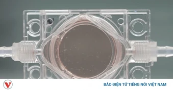 Trung Quốc đưa thí nghiệm “phôi thai nhân tạo” đầu tiên vào không gian