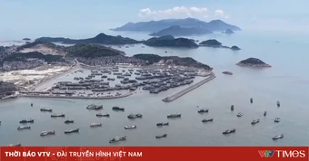 Trung Quốc kích hoạt ứng phó khẩn cấp với bão Dolphin