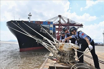 Trung Quốc nâng mức ứng phó khẩn cấp với bão Dolphin