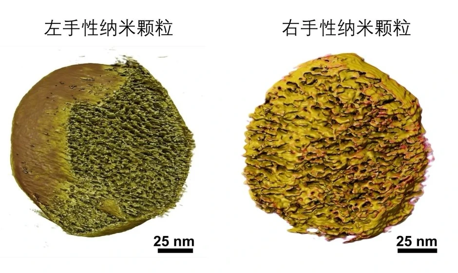 Trung Quốc phát triển loại tá dược mới giúp tăng hiệu quả vaccine ung thư