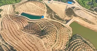 Trung Quốc thuê 500 ha đất ngay tại láng giềng Việt Nam: Rộng bằng 700 sân bóng đá, đặt cược vào một loại quả đặc biệt
