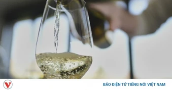 Trung Quốc triệt phá đường dây sản xuất, tiêu thụ rượu giả quy mô lớn