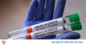 Truy vết Hantavirus: Các nhà khoa học bắt 70 con chuột ở "nơi tận cùng thế giới"