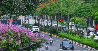 Từ bỏ ‘đua tranh khốc liệt’ ở quê nhà, nhiều người Mỹ chọn Việt Nam: ‘Chất lượng cuộc sống rất cao’