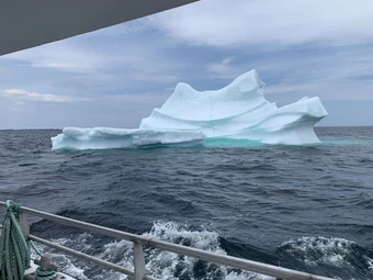 Twillingate - điểm hẹn ngắm băng trôi và cá voi ở Canada