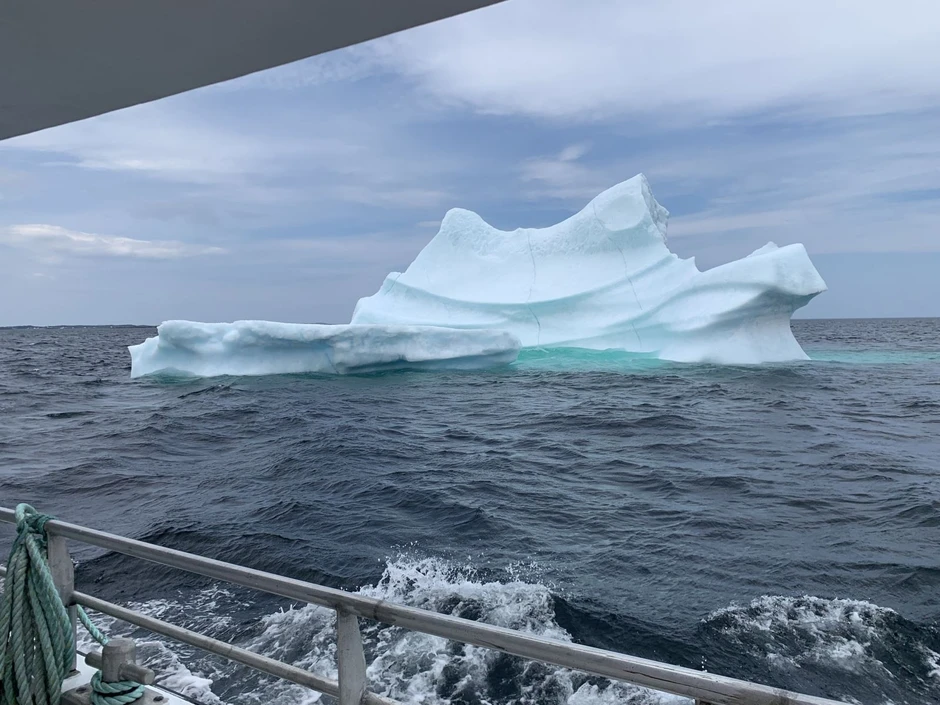 Twillingate - điểm hẹn ngắm băng trôi và cá voi ở Canada Twillingate - điểm hẹn ngắm băng trôi và cá voi ở Canada