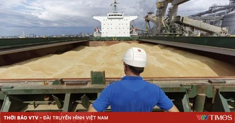Ukraine cáo buộc tàu Nga chở ngũ cốc đến Iran