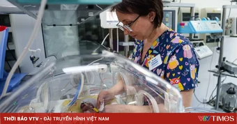 Ukraine: Số ca sinh non gia tăng tại nhiều khu vực gần tiền tuyến