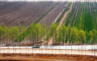 Vạn Lý Trường Thành Xanh của Trung Quốc được vinh danh trên Nature