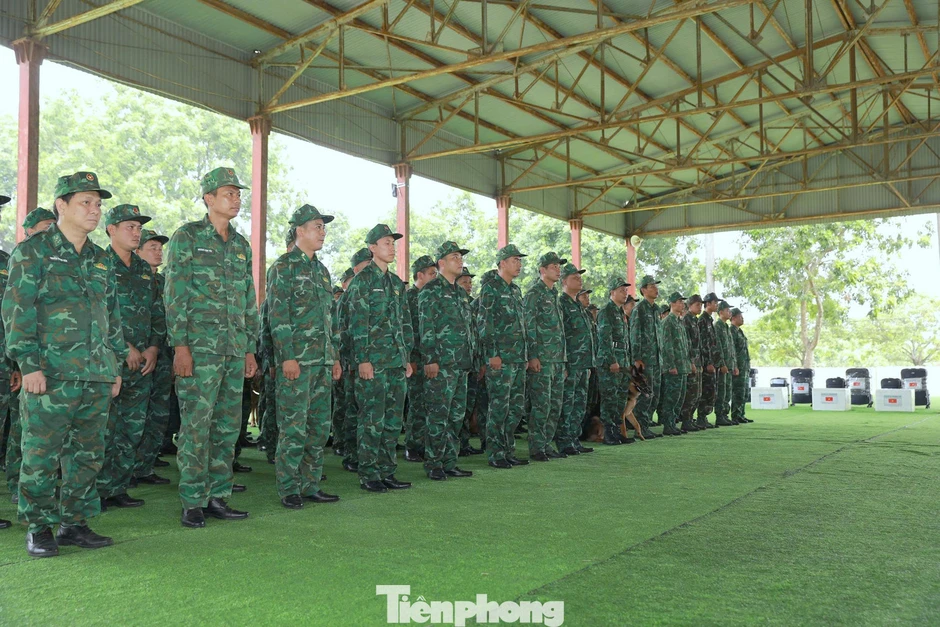 Việt Nam đưa 8 chó nghiệp vụ Biên phòng sang tìm kiếm cứu nạn sau động đất tại Venezuela Việt Nam đưa 8 chó nghiệp vụ Biên phòng sang tìm kiếm cứu nạn sau động đất tại Venezuela