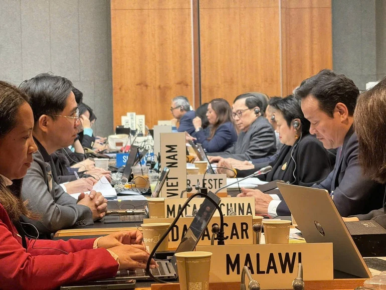 Việt Nam phát huy vai trò cầu nối, thúc đẩy đối thoại và kêu gọi các thành viên WTO tăng cường hợp tác Việt Nam phát huy vai trò cầu nối, thúc đẩy đối thoại và kêu gọi các thành viên WTO tăng cường hợp tác