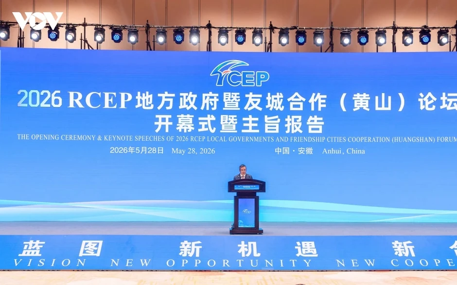 Việt Nam tích cực tăng cường kết nối địa phương trong khuôn khổ RCEP Việt Nam tích cực tăng cường kết nối địa phương trong khuôn khổ RCEP