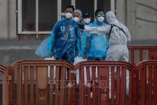 Virus Hanta: Thêm 1 ca mắc mới trong nhóm người Tây Ban Nha đang cách ly Virus Hanta: Thêm 1 ca mắc mới trong nhóm người Tây Ban Nha đang cách ly