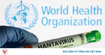 Virus Hanta: WHO khuyến nghị toàn bộ hành khách cách ly 42 ngày