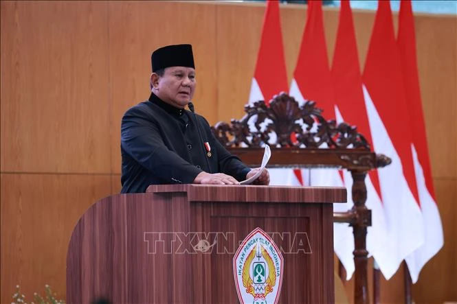 Vụ va chạm tàu ở Indonesia: Ít nhất 14 người thiệt mạng Vụ va chạm tàu ở Indonesia: Ít nhất 14 người thiệt mạng