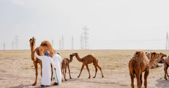 Vương quốc dầu mỏ nhỏ bé vùng Vịnh lao đao vì chiến tranh Iran