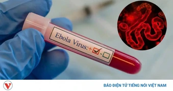 WHO nâng cảnh báo Ebola tại Congo lên mức “rất cao”