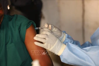 WHO: Nguy cơ bùng phát dịch Ebola trên toàn cầu ở mức thấp