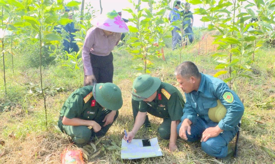 Xác minh ngôi mộ nghi của liệt sĩ được chôn cất hơn nửa thế kỷ trước