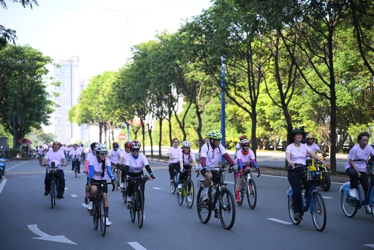 Xây đắp tình thân ái, hữu nghị Việt - Nhật