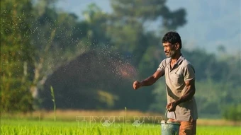Xung đột Trung Đông và tác động kinh tế: FAO cảnh báo tình trạng khan hiếm phân bón