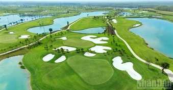 Công bố chuỗi giải đấu Royal Cup Series 2026