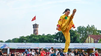 Đại hội võ thuật tại Hà Nội