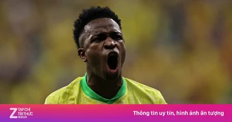 Hình ảnh tranh cãi của&nbsp;Vinicius sau khi bị loại khỏi World Cup