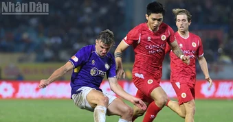 Lịch thi đấu vòng 16 V-League: Ninh Bình chạm trán Công an Hà Nội