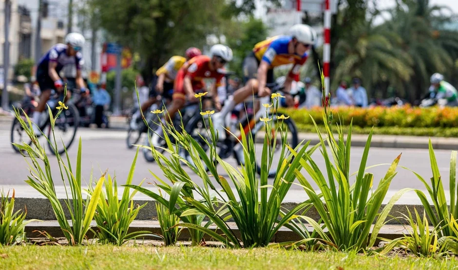 Ngoại binh nhập tịch Lộc Trời bùng nổ tại Quy Nhơn Ngoại binh nhập tịch Lộc Trời bùng nổ tại Quy Nhơn