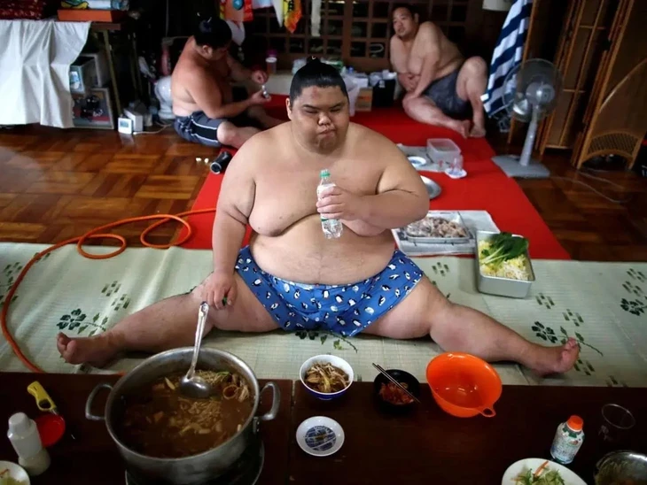 Vì sao các võ sĩ sumo khó thọ quá tuổi 60? Vì sao các võ sĩ sumo khó thọ quá tuổi 60?