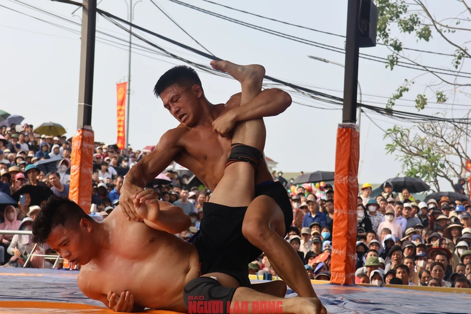 VIDEO: Xem những nhà vô địch SEA Games "đại náo" sới vật hội làng VIDEO: Xem những nhà vô địch SEA Games "đại náo" sới vật hội làng