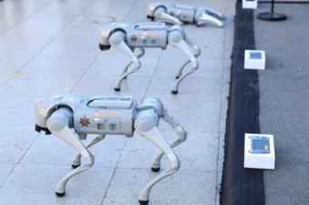 World Cup 2026: Triển khai ‘chó robot’ hỗ trợ an ninh