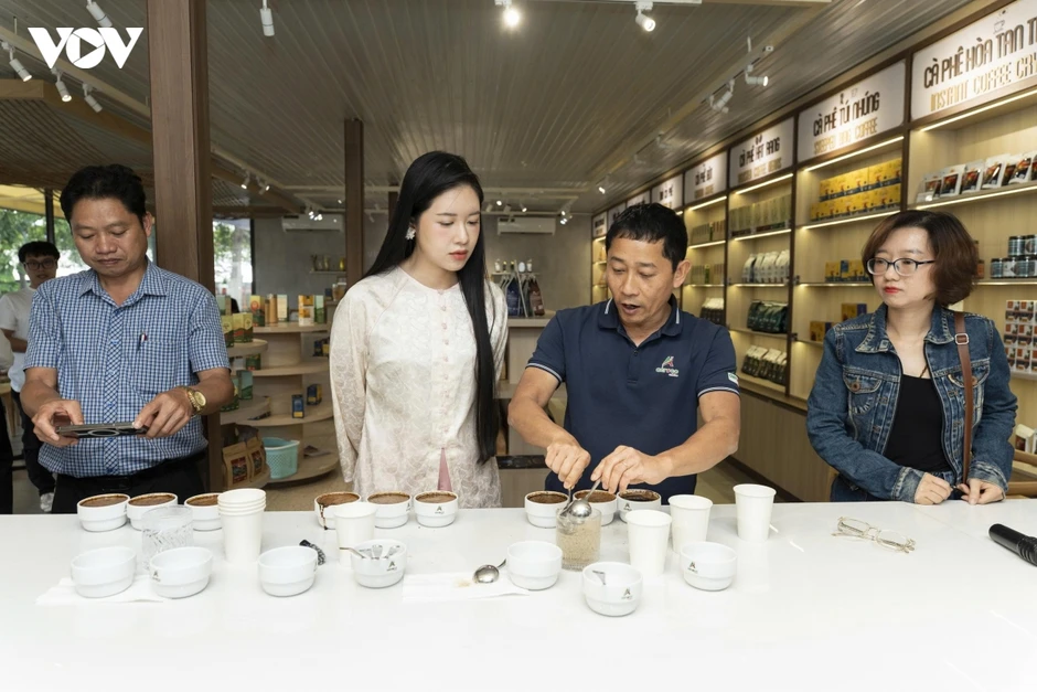 “Hành trình từ vườn đến tách cà phê” quảng bá thương hiệu cà phê Buôn Ma Thuột