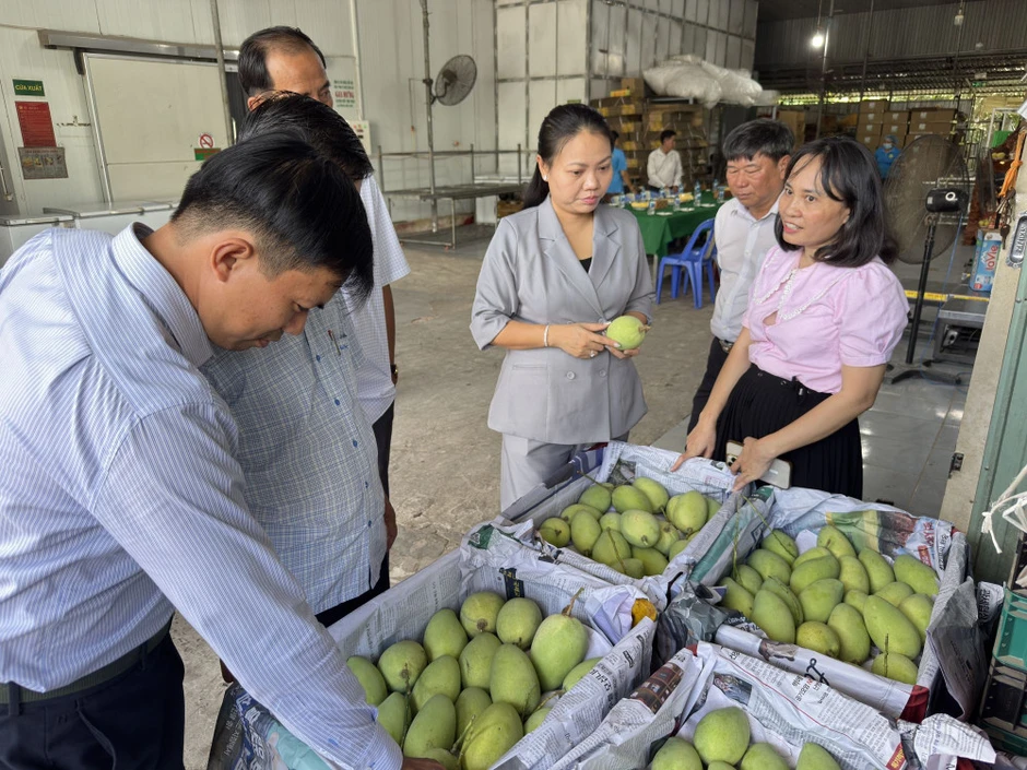 180 gian hàng nông sản đặc sản quy tụ tại phường Bình Đông 180 gian hàng nông sản đặc sản quy tụ tại phường Bình Đông