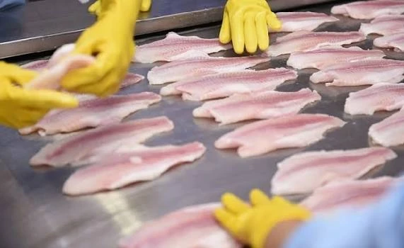 2/3 thế giới 'chốt đơn' sản vật này của Việt Nam, Vương quốc Anh cực ưa chuộng