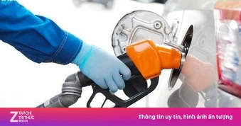 3 doanh nghiệp đầu mối xăng dầu vừa bị xử phạt