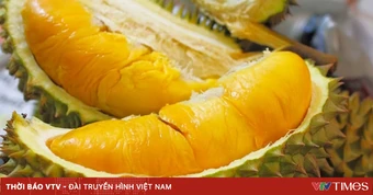 37 cơ sở kiểm nghiệm được GACC chấp thuận để xuất khẩu mít, sầu riêng sang Trung Quốc